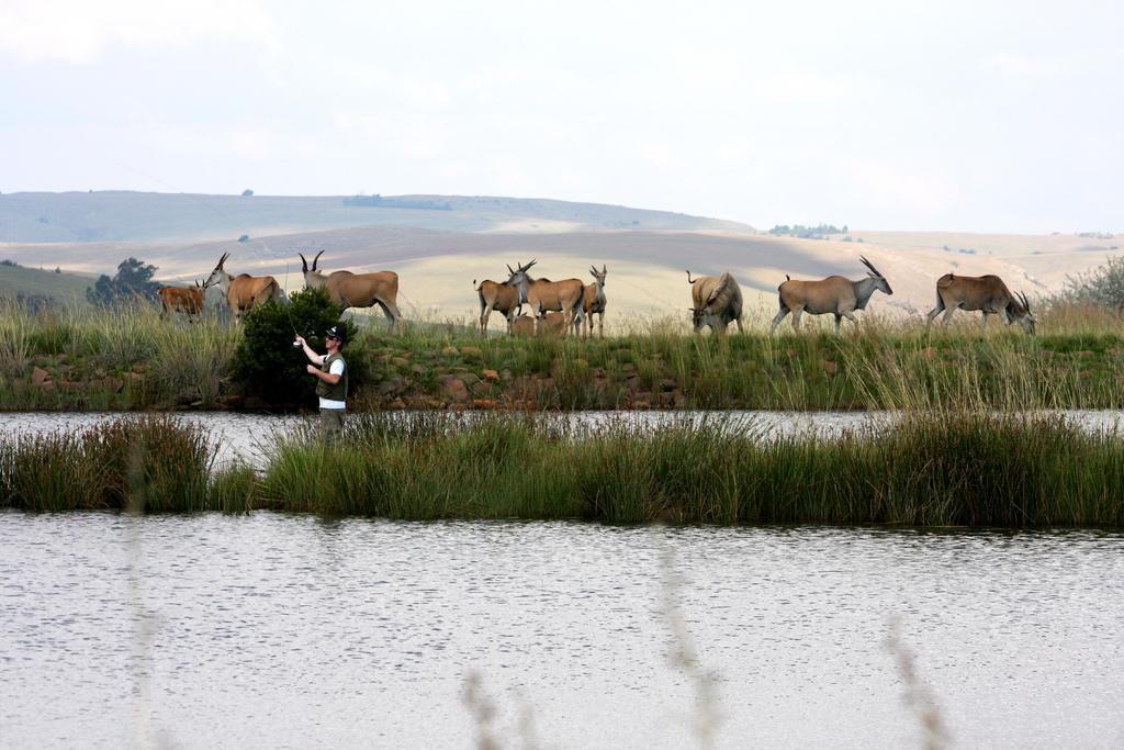Elandskloof Trout Farm Guest House Dullstroom Luaran gambar